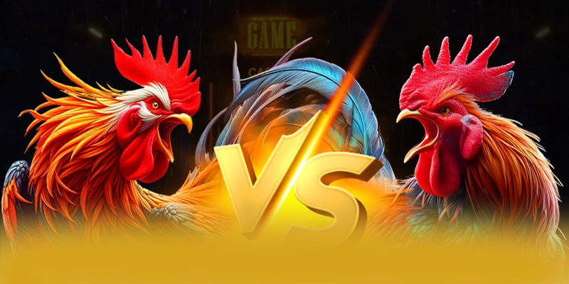 Lợi thế cạnh tranh của 8XBET trên thị trường