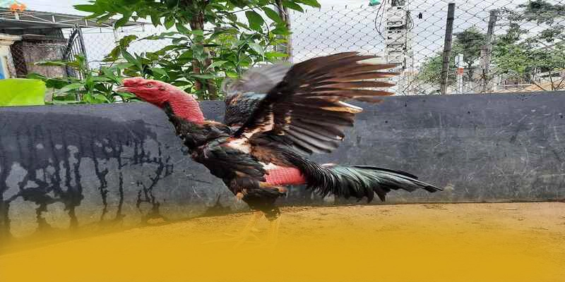 8XBET - Sân chơi sở hữu kho game phong phú hiện nay